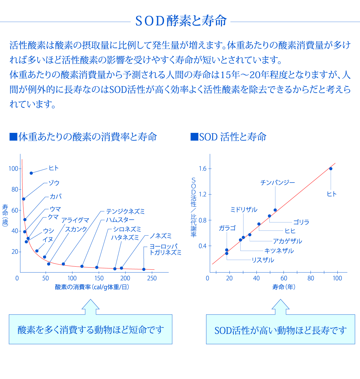 フルボ酸